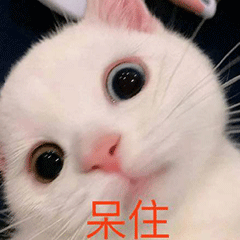 图片[13]-沙雕表情包-喜欢表情包分享—全网表情包