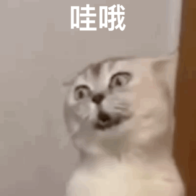 图片[13]-30个热门超火表情包-喜欢表情包分享—全网表情包