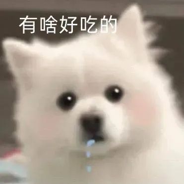 图片[14]-伤心流泪猫猫头表情包-喜欢表情包分享—全网表情包