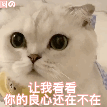 图片[20]-你们要的冰墩墩超火表情包-喜欢表情包分享—全网表情包