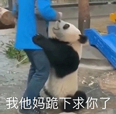 图片[20]-沙雕表情包-喜欢表情包分享—全网表情包