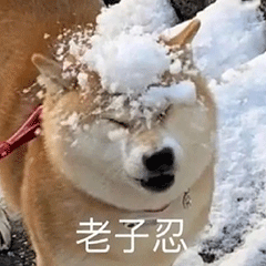 图片[14]-栓 Q 您嘞-喜欢表情包分享—全网表情包
