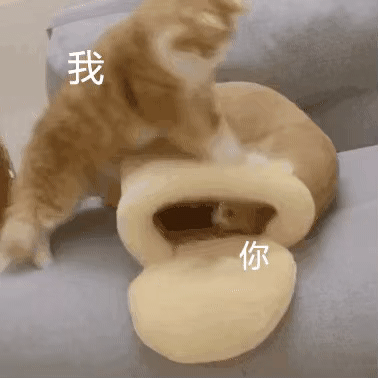 图片[9]-聊天沙雕表情包，承包了！-喜欢表情包分享—全网表情包