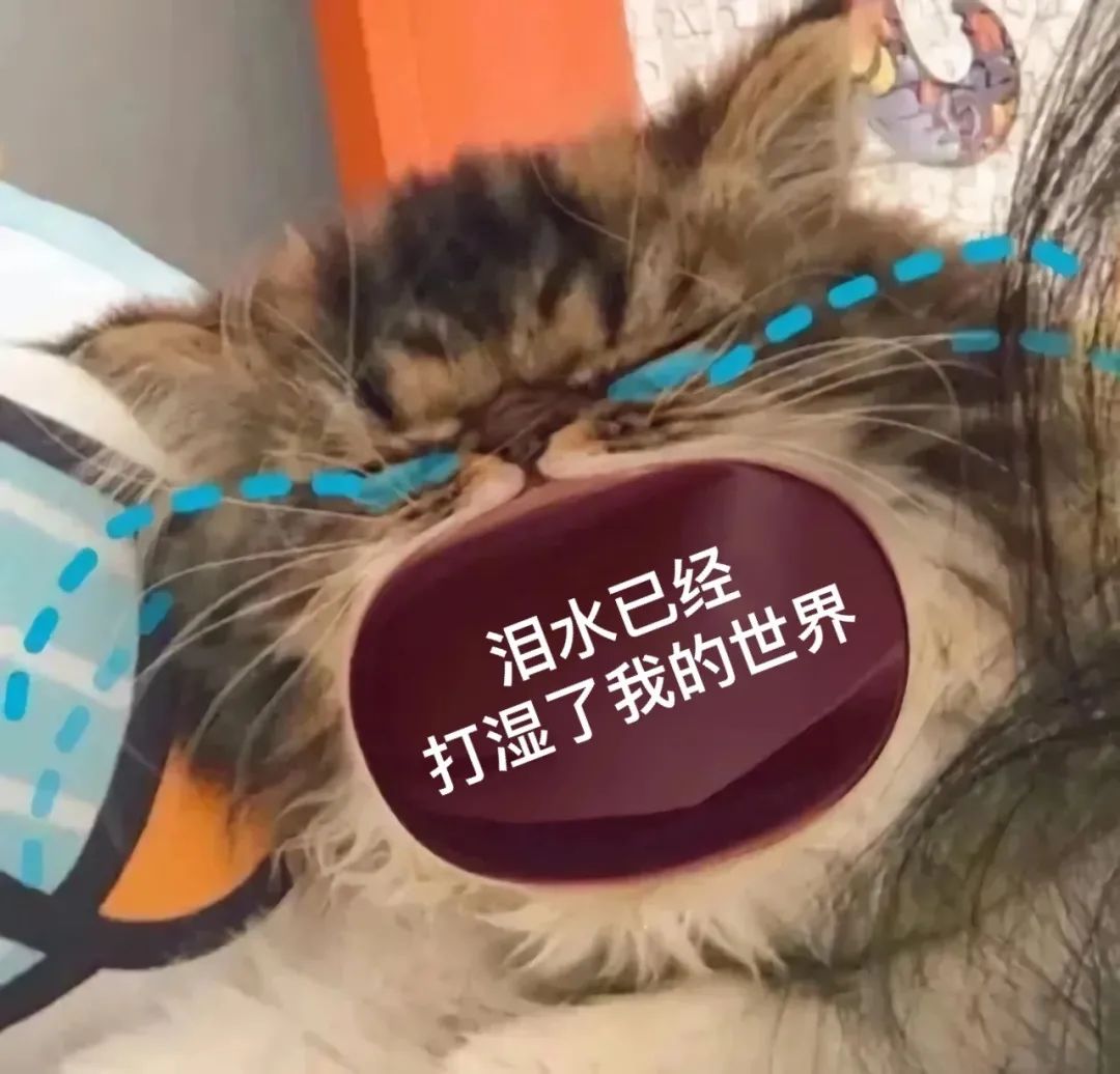图片[5]-45个聊天撒娇必用大嘴猫表情-喜欢表情包分享—全网表情包