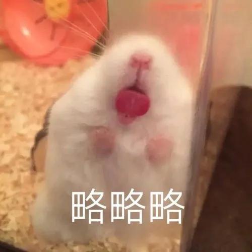 图片[1]-只想做你一个人的舔狗-喜欢表情包分享—全网表情包