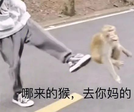 图片[1]-傻雕表情包：请问你很牛吗？-喜欢表情包分享—全网表情包