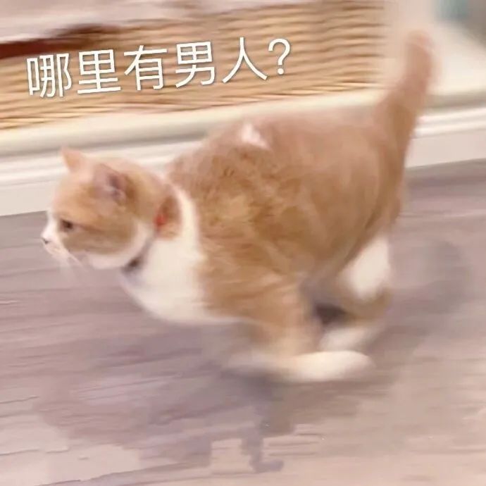 图片[8]-没见过别人亲热吗-喜欢表情包分享—全网表情包