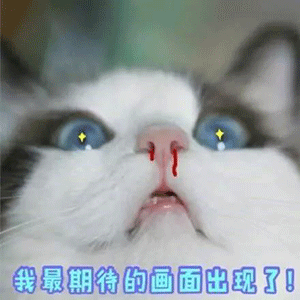 图片[12]-我最期待的画面出现了！-喜欢表情包分享—全网表情包