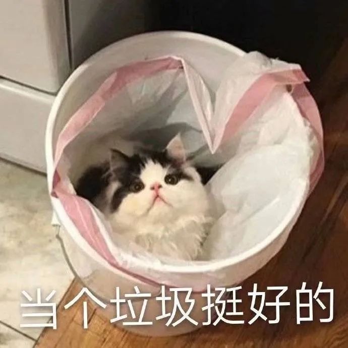 图片[6]-我就是缠你的身子-喜欢表情包分享—全网表情包