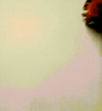 图片[1]-【GIF】AI：妹想到吧！-喜欢表情包分享—全网表情包