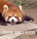 图片[3]-表情包-喜欢表情包分享—全网表情包