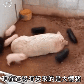 图片[16]-出来聊天！-喜欢表情包分享—全网表情包