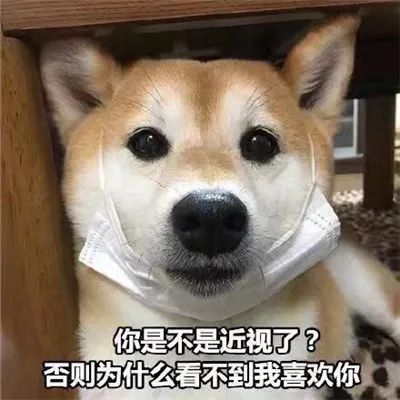 图片[4]-套路聊天表情合集-喜欢表情包分享—全网表情包