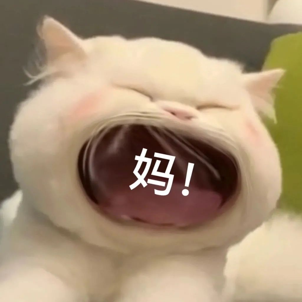 图片[24]-45个聊天撒娇必用大嘴猫表情-喜欢表情包分享—全网表情包