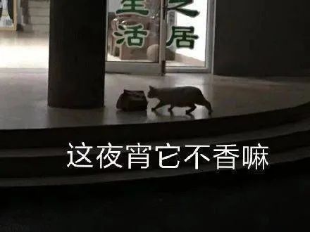 图片[3]-表情包-喜欢表情包分享—全网表情包