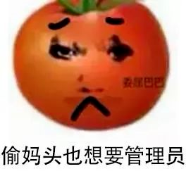 图片[34]-偷妈头&破忒头表情包-喜欢表情包分享—全网表情包