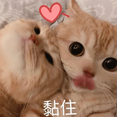 图片[27]-干什么，你不要过来!-喜欢表情包分享—全网表情包