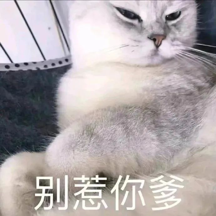 图片[49]-抖音热门表情包丨我今天巨巨巨巨巨巨巨想你-喜欢表情包分享—全网表情包
