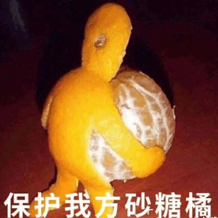 图片[9]-垮起个豹豹脸-喜欢表情包分享—全网表情包