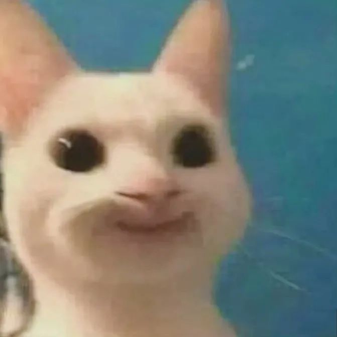 图片[13]-可爱的猫猫头增加了-喜欢表情包分享—全网表情包