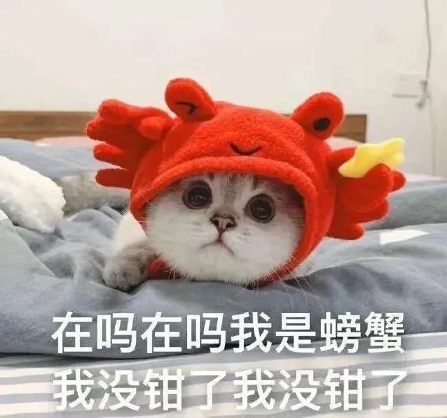 图片[23]-快哄我-喜欢表情包分享—全网表情包