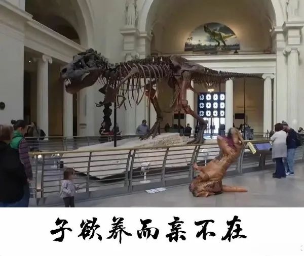 图片[2]-今日份沙雕图-喜欢表情包分享—全网表情包