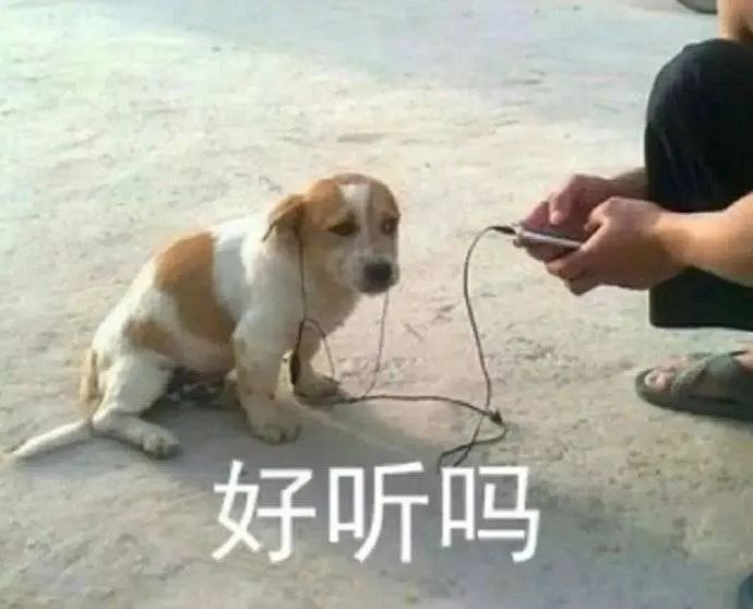 图片[2]-我就是缠你的身子-喜欢表情包分享—全网表情包