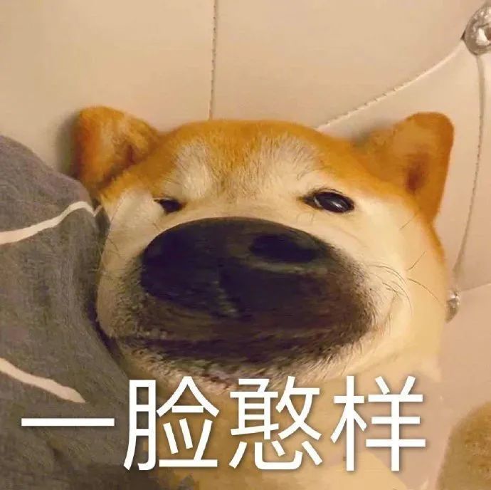 图片[32]-表情包 | 女人啊，还是要哄~-喜欢表情包分享—全网表情包