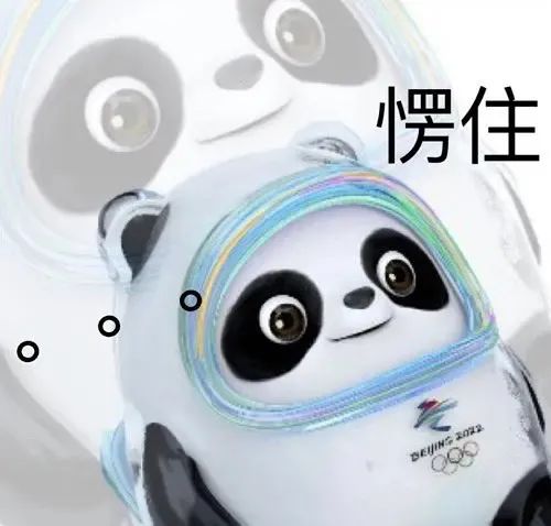 图片[15]-冰墩墩表情包 | 我是他的表弟铁憨憨-喜欢表情包分享—全网表情包