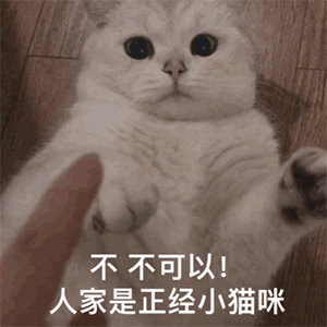 图片[46]-可爱到爆的表情包-喜欢表情包分享—全网表情包