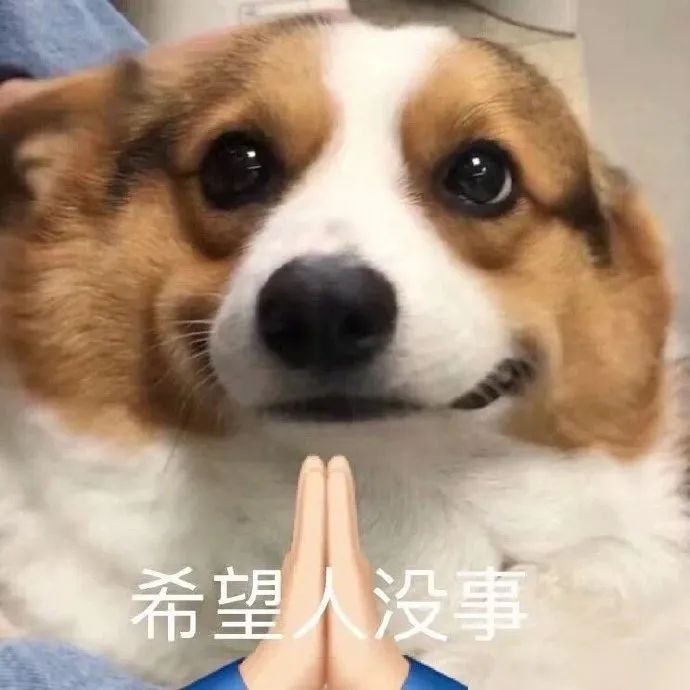 图片[4]-今晚来我房吗-喜欢表情包分享—全网表情包