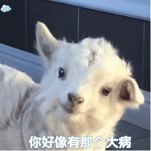 图片[15]-收图世间到~-喜欢表情包分享—全网表情包