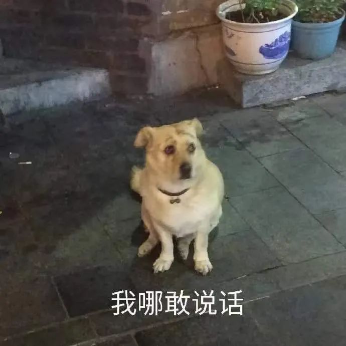图片[8]-实用斗图表情包-喜欢表情包分享—全网表情包