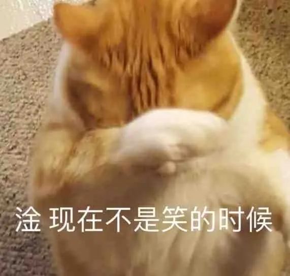 图片[1]-表情包-喜欢表情包分享—全网表情包