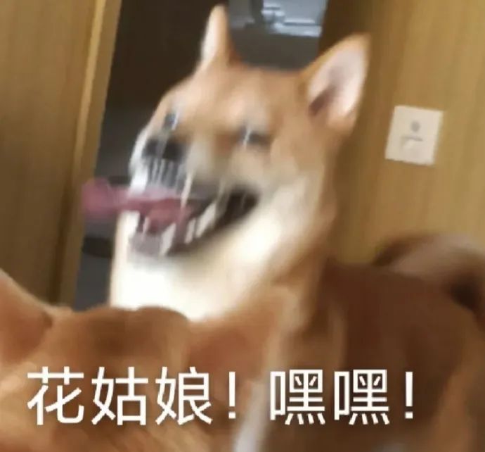 图片[29]-快哄我-喜欢表情包分享—全网表情包