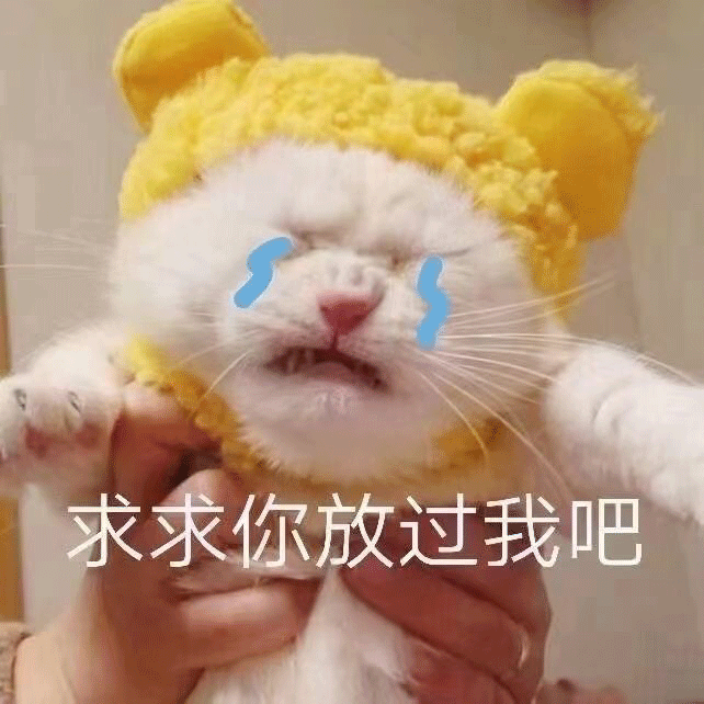 图片[2]-60个聊天可爱表情包-喜欢表情包分享—全网表情包