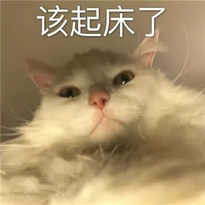 图片[3]-微信聊天表情包大全-喜欢表情包分享—全网表情包