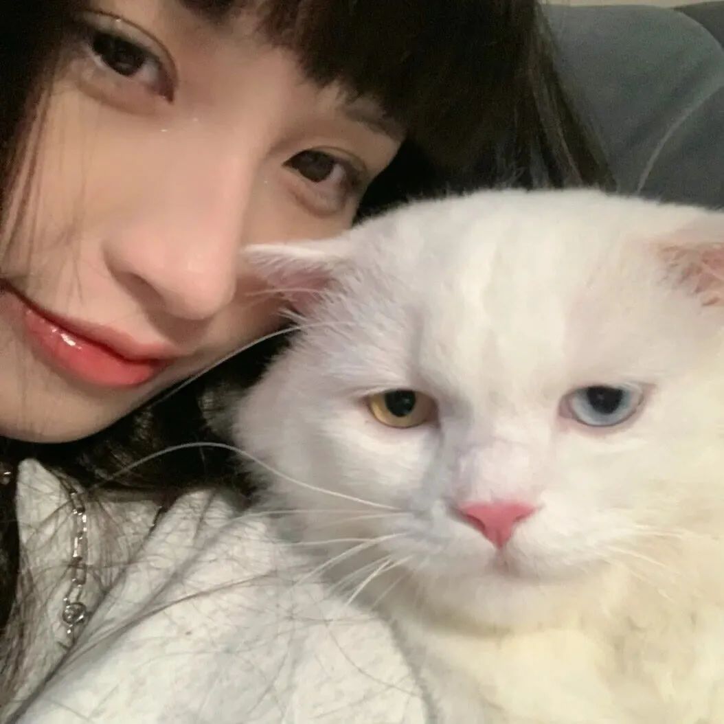 图片[26]-头像 | 没理由不换微信头像呀-喜欢表情包分享—全网表情包