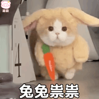 图片[21]-你们要的冰墩墩超火表情包-喜欢表情包分享—全网表情包