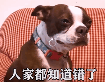 图片[11]-30个热门超火表情包-喜欢表情包分享—全网表情包