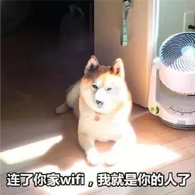 图片[3]-套路聊天表情合集-喜欢表情包分享—全网表情包