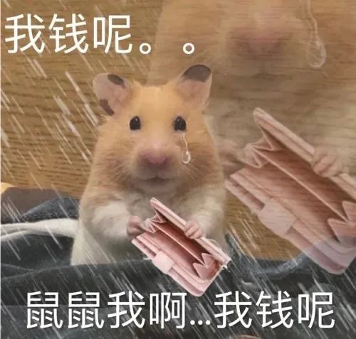 图片[18]-旋转拿捏-喜欢表情包分享—全网表情包