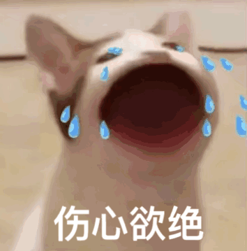 图片[42]-45个聊天撒娇必用大嘴猫表情-喜欢表情包分享—全网表情包
