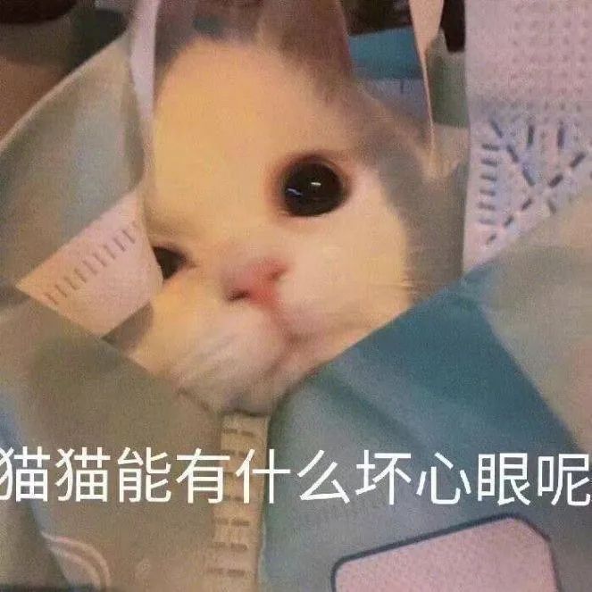 图片[15]-表情包 | 女人啊，还是要哄~-喜欢表情包分享—全网表情包