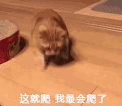 图片[28]-聊天沙雕表情包，承包了！-喜欢表情包分享—全网表情包