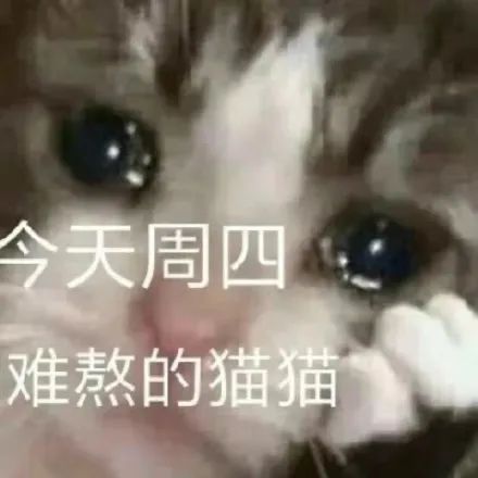 图片[20]-中午好 发表情啦-喜欢表情包分享—全网表情包