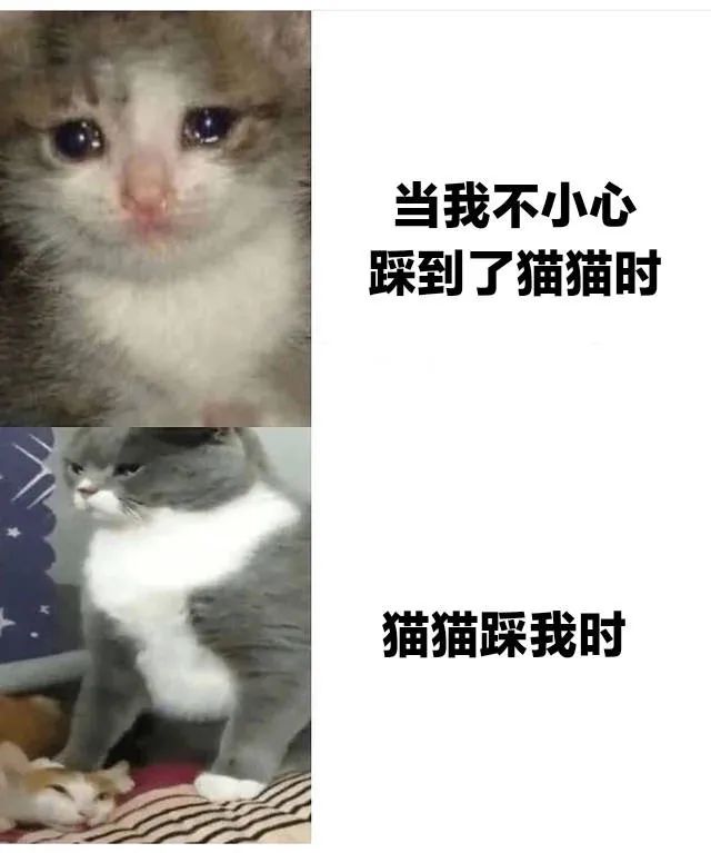 图片[6]-指指点点-喜欢表情包分享—全网表情包