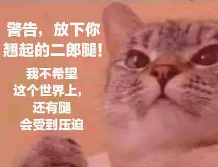 图片[15]-有点意思-喜欢表情包分享—全网表情包