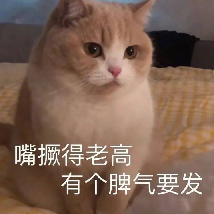 图片[6]-表情包-喜欢表情包分享—全网表情包