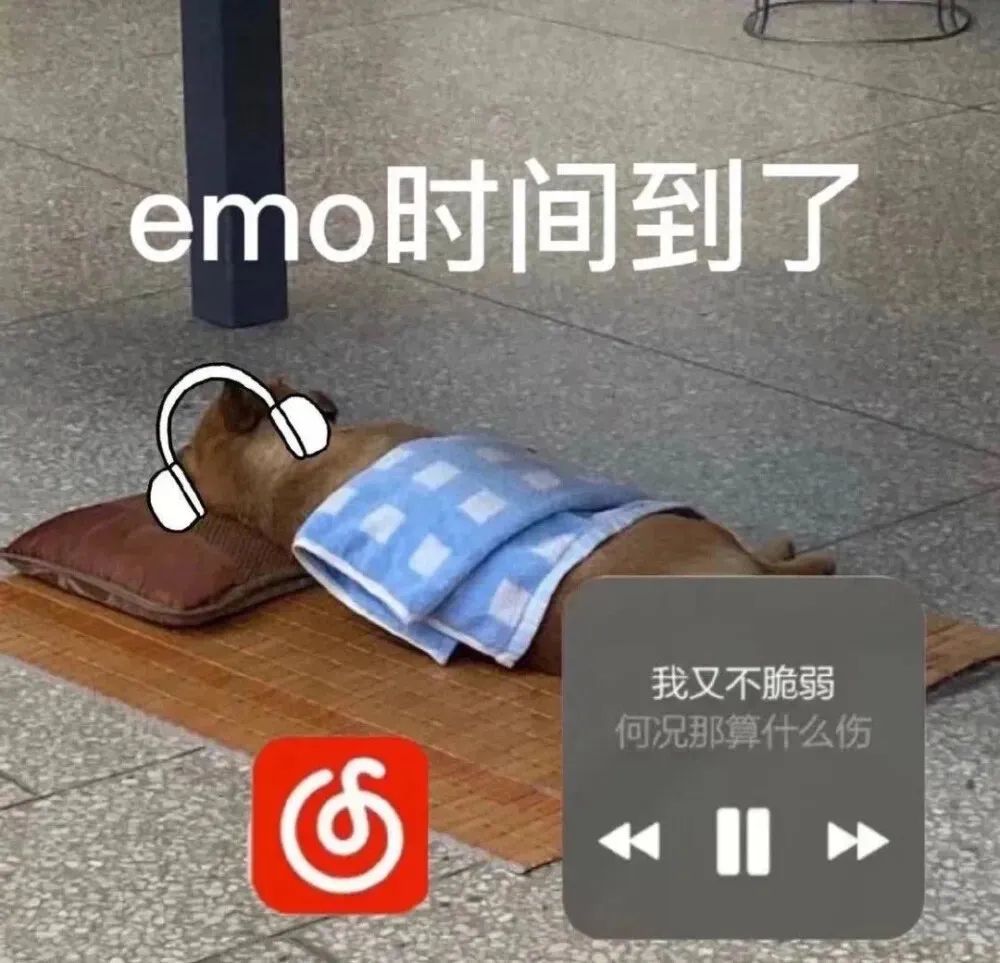 图片[6]-你的宝宝出现-喜欢表情包分享—全网表情包
